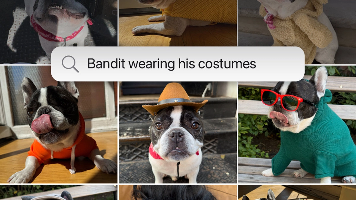 Tìm kiếm hình ảnh 