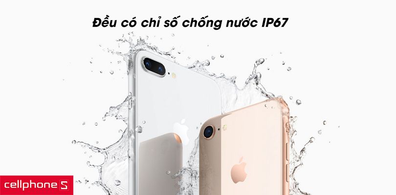 iPhone 8 và iPhone 8 Plus đem chống thấm nước không?