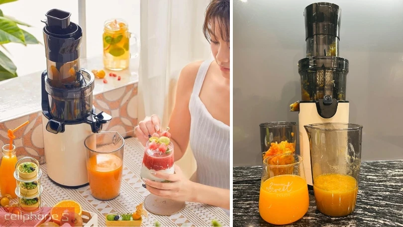 Phân loại máy ép Bear theo dung tích