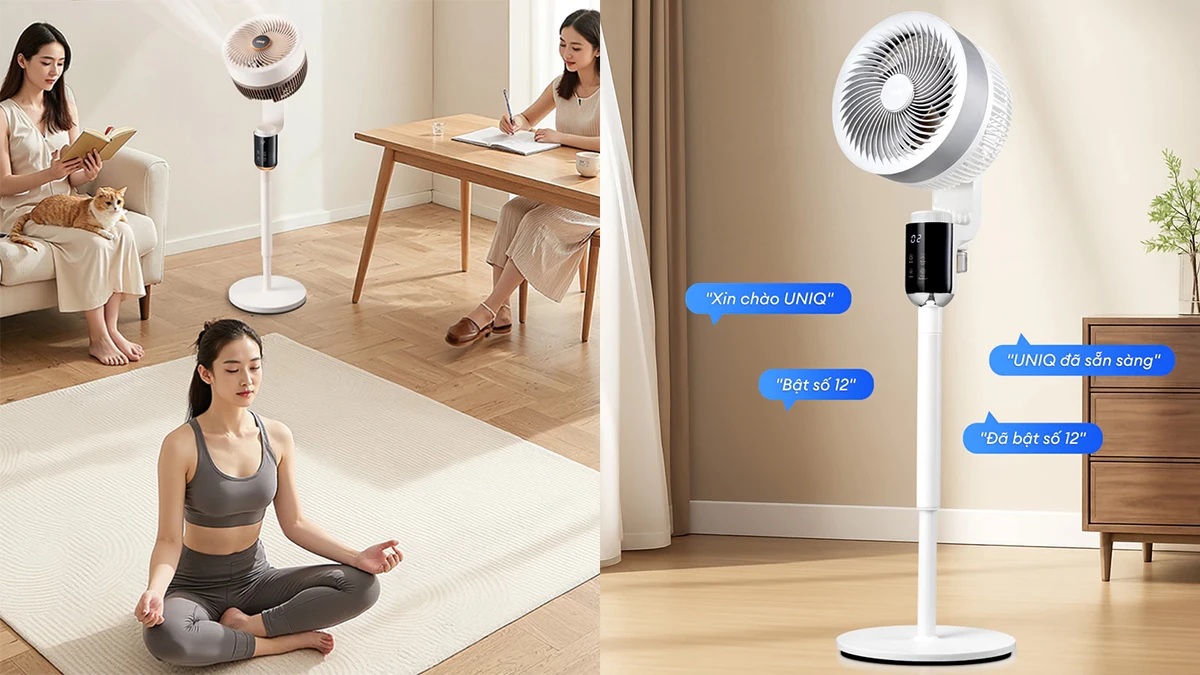 Quạt đứng UNIQ Flow C6