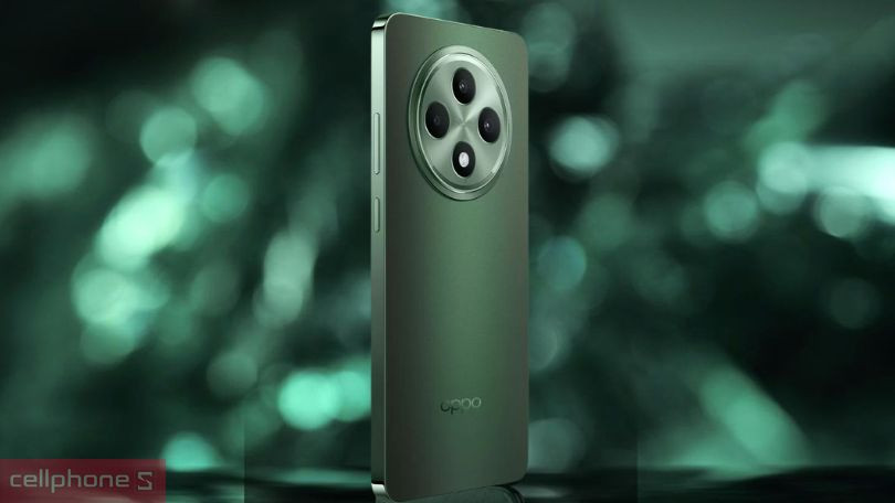 Màn hình điện thoại OPPO Reno12 FS 5G