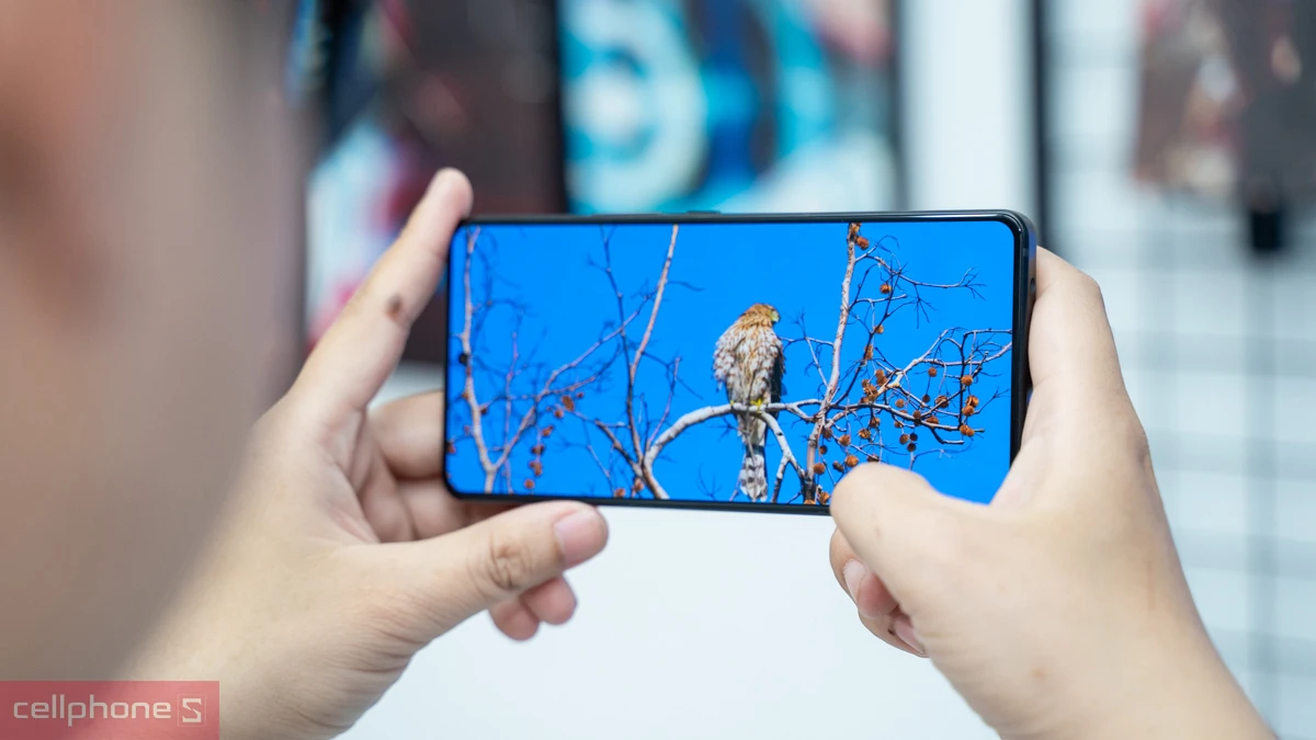 Asus ROG Phone là dòng điện thoại Gaming cao cấp