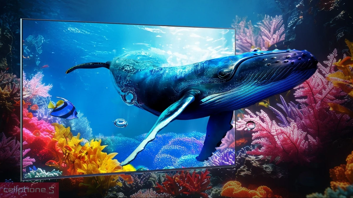 Thiết kế của Smart Tivi LG QNED 55QNED9M 4K 55 inch 2025