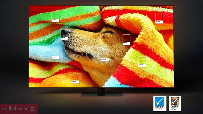 Công nghệ hiển thị  tivi Samsung Neo QLED 4K QA55QN90C 55 inch