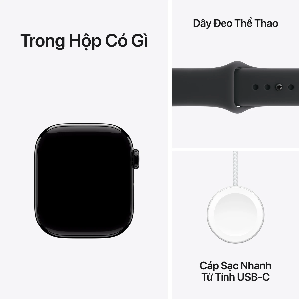 Trong hộp đồng hồ Apple Watch Series 11 có gì?