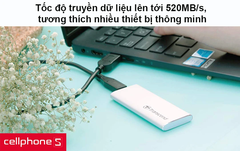 Tốc độ truyền dữ liệu lên tới 520MB/s, tương thích nhiều thiết bị thông minh
