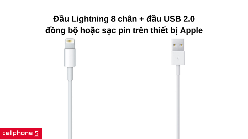 Hai đầu kết nối Lightning và USB 2.0 phục vụ quá trình sao lưu & sạc pin