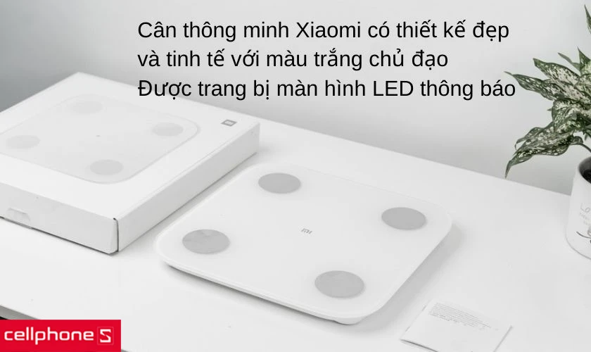 Thiết kế cao cấp, sang trọng