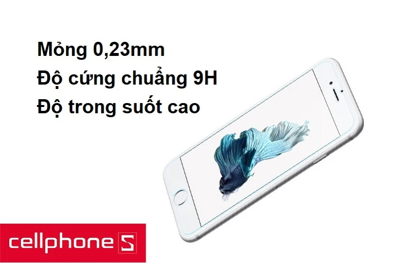 Mỏng 0,23mm, độ trong suốt cao