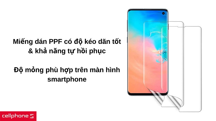 Dán PPF là gì và tính năng của chúng ra sao?