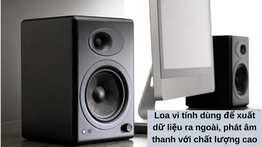 Loa vi tính là gì