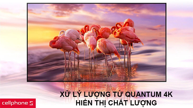 Màn hình kích thước lớn, hiển thị chất lượng