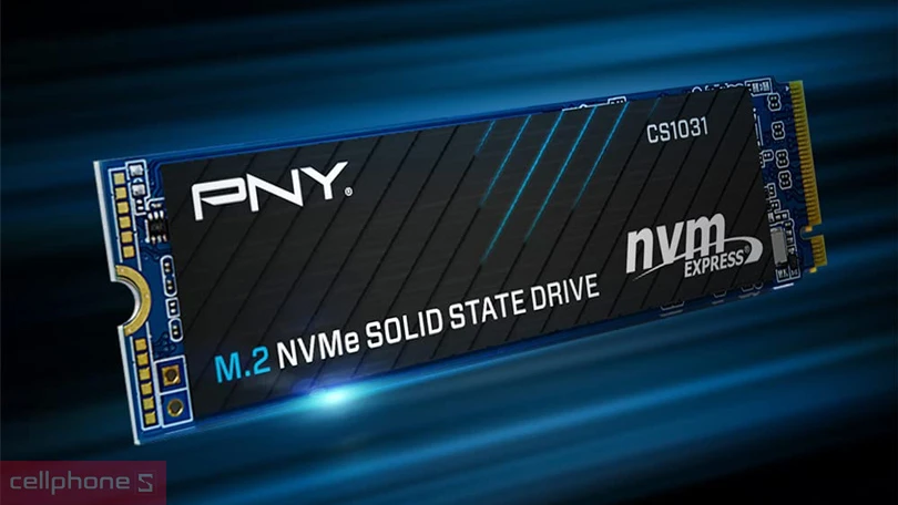 Ổ cứng SSD PNY CS1031 M.2 2280 NVMe PCIe Gen 3x4 500GB - Đọc ghi siêu nhanh, không gian lưu trữ lớn