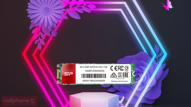 Ổ cứng SSD Silicon Power A55 256GB M2 2280 SATA III