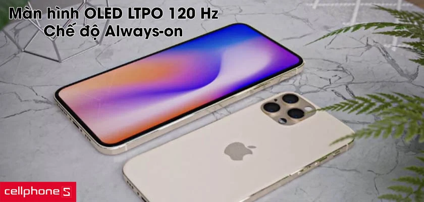 Màn hình OLED LTPO 120 Hz, chế độ Always-on luôn bật