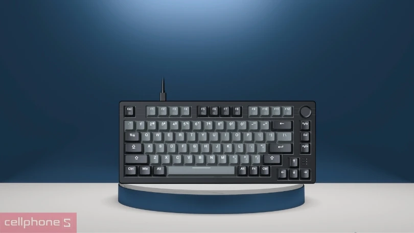 Switch, keycap của bàn phím cơ có dây Dareu EK75 RBG Grey Black