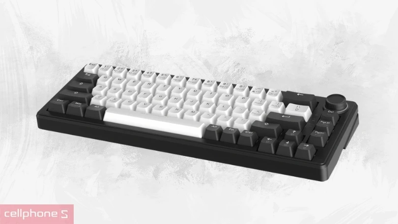 Keycap và switch của bàn phím cơ DareU EK65S White Black RGB