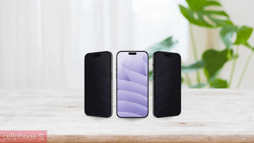 JCPAL của nước nào?