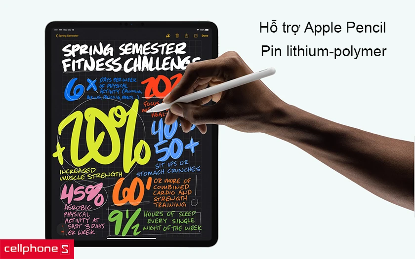 Hỗ trợ Apple Pencil