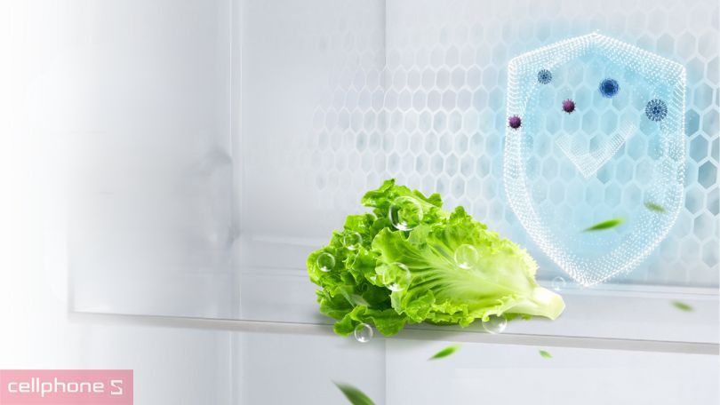 Công nghệ kháng khuẩn của tủ lạnh Aqua AQR-M560XA(GL) 469 lít