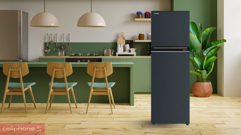 Dung tích tủ lạnh Toshiba GR-RT329WE-PMV(52) 253 lít