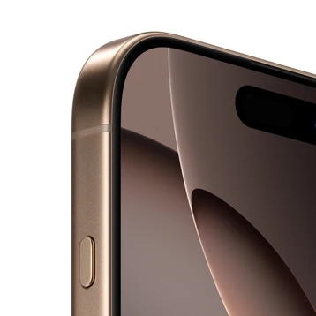 pictureDetails