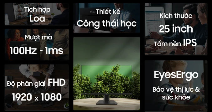 Màn hình văn phòng MSI Pro MP251 25 inch