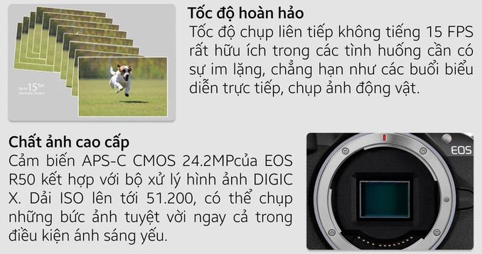 Máy ảnh Canon EOS R50 (RF-S18-45mm f/4.5-6.3 IS STM) - 2