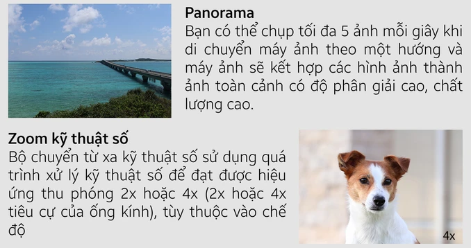 Máy ảnh Canon EOS R50 (RF-S18-45mm f/4.5-6.3 IS STM) - 3