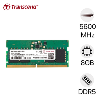 RAM Laptop Transcend DDR5 5600MHz 8GB - 1