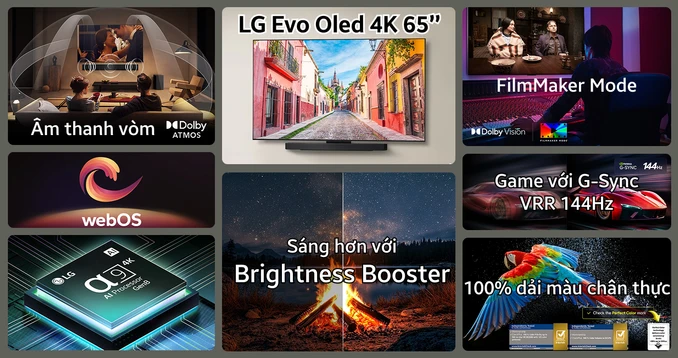Smart Tivi LG Evo Oled 4K 65 inch 2025 (65C5PSA) - 1