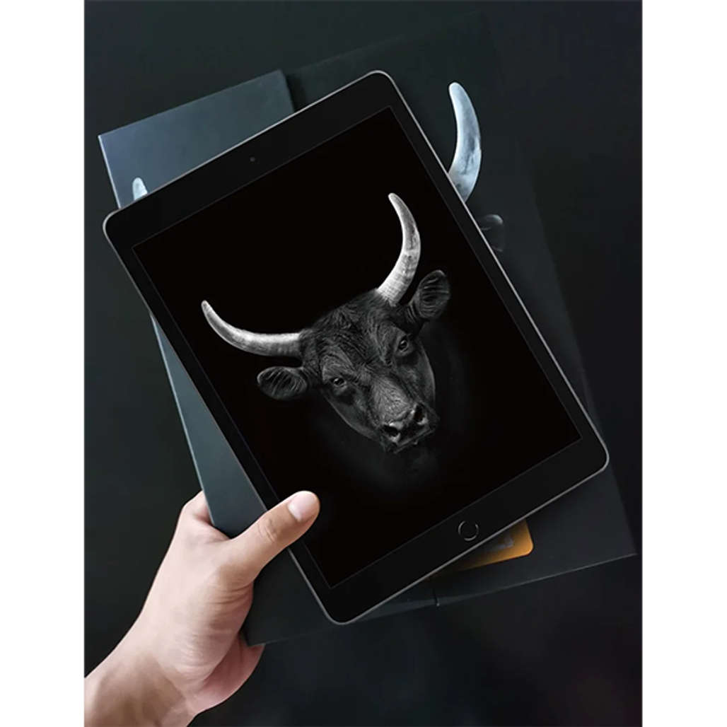 Mipow Ipad 10.2 2020