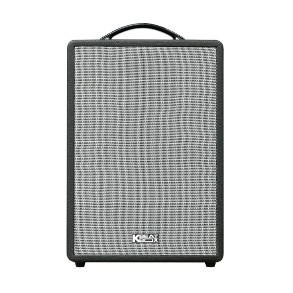 Loa Karaoke xách tay ACNOS CS201V