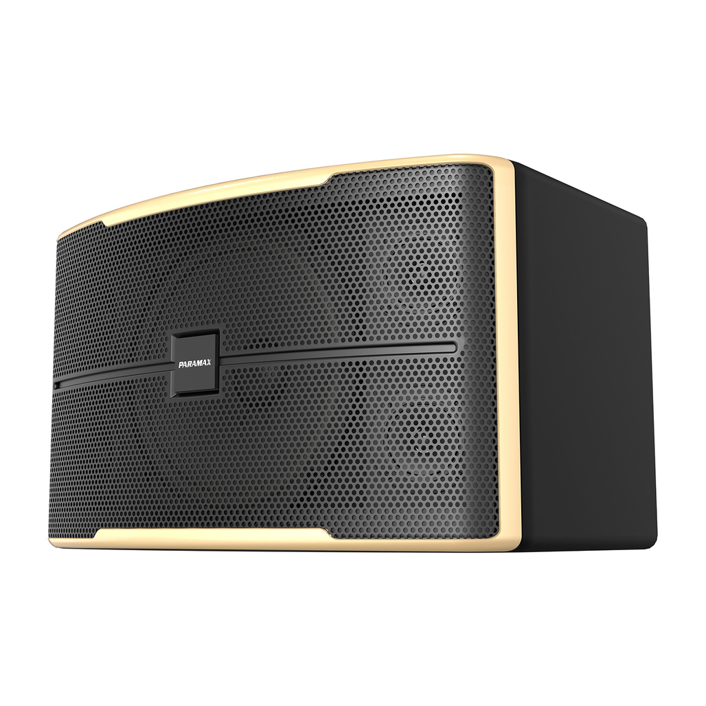 Loa Paramax Z-2500