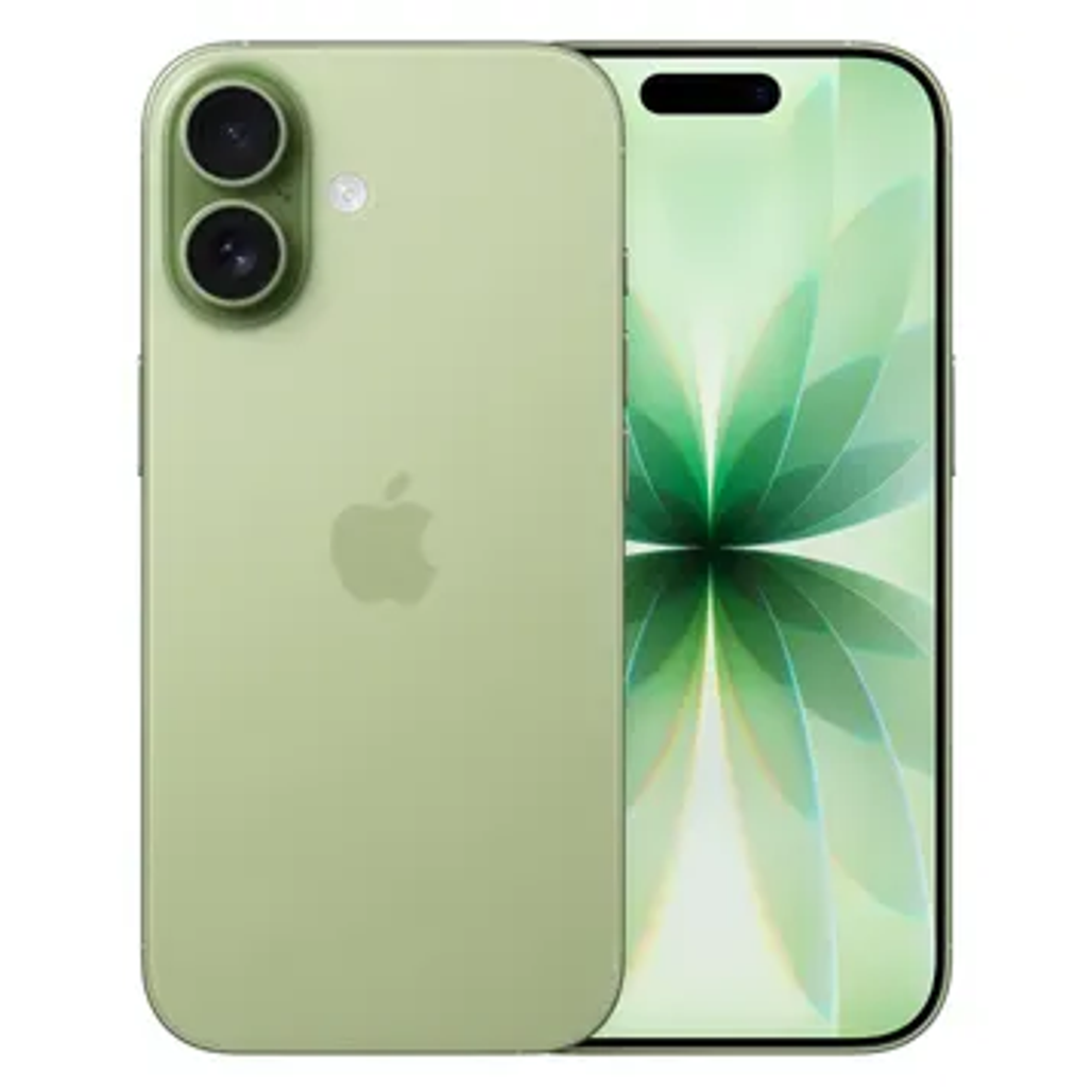 6 chấm 2026