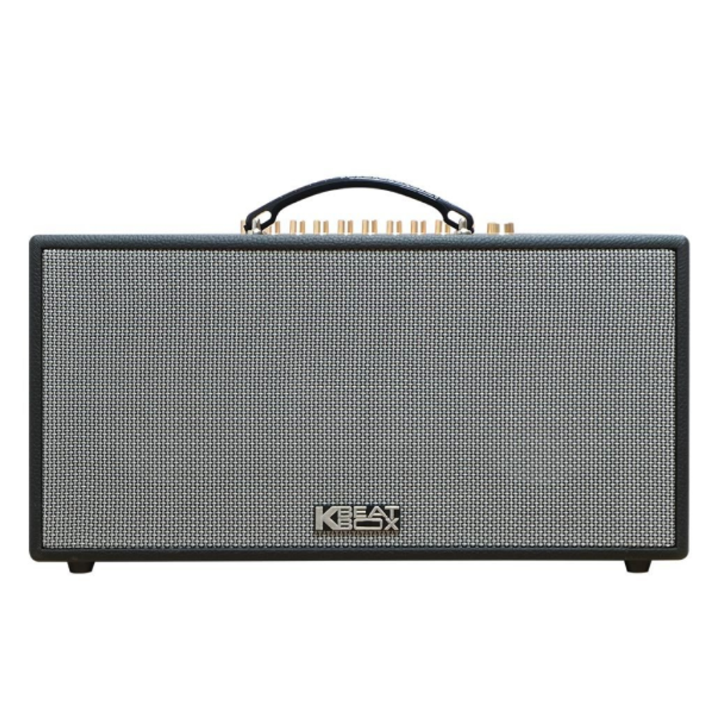 Loa Karaoke Acnos Cs450Neo