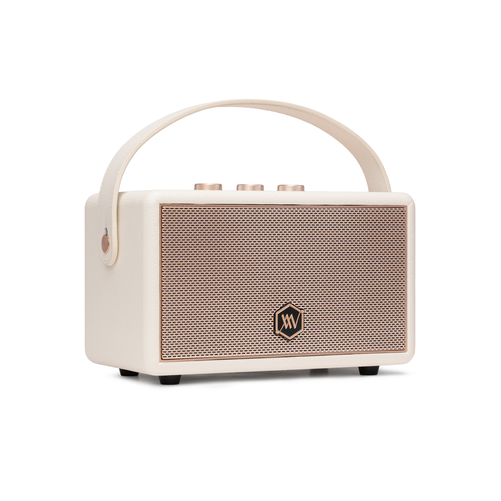 Loa Bluetooth Alpha Works AW-W89