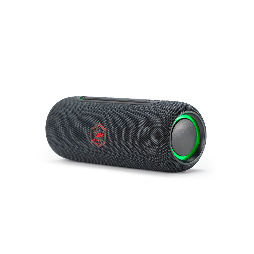 Loa Bluetooth Alpha Works AW-IKON 10