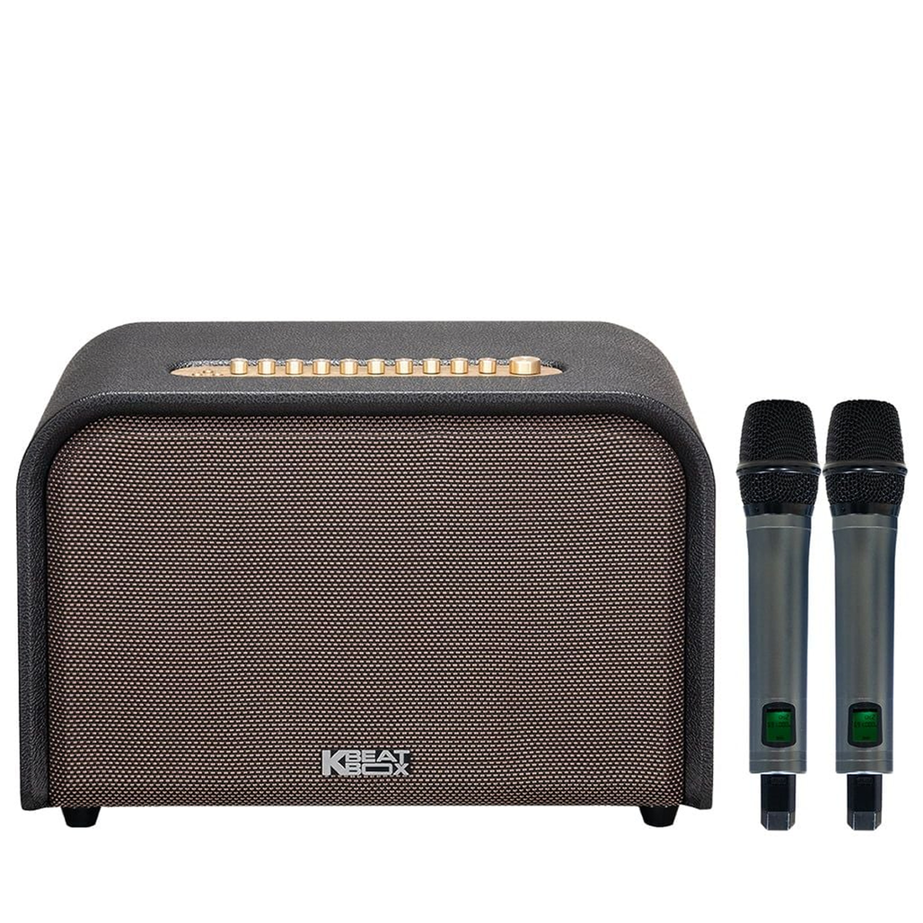 Loa Karaoke xách tay ACNOS Acoustic 3 Compact