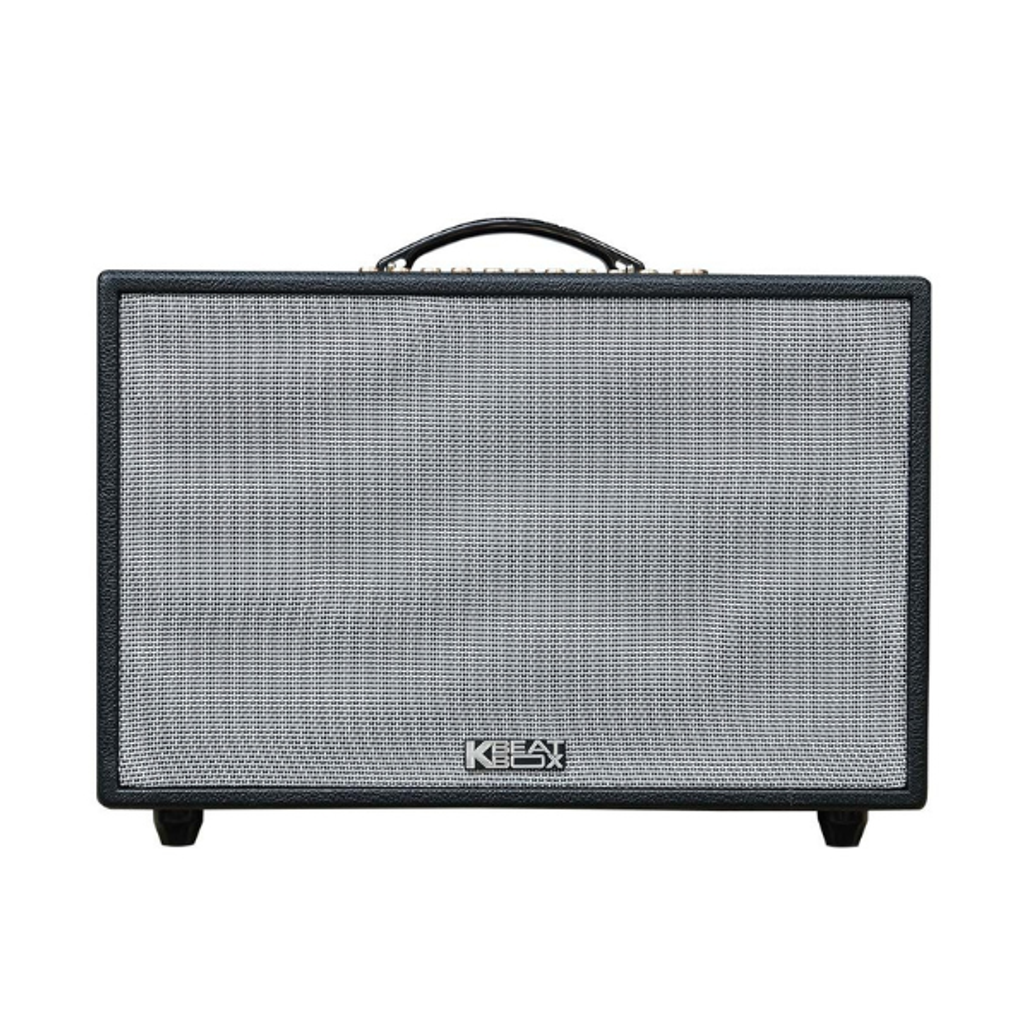 Loa Karaoke xách tay Acnos CS3600