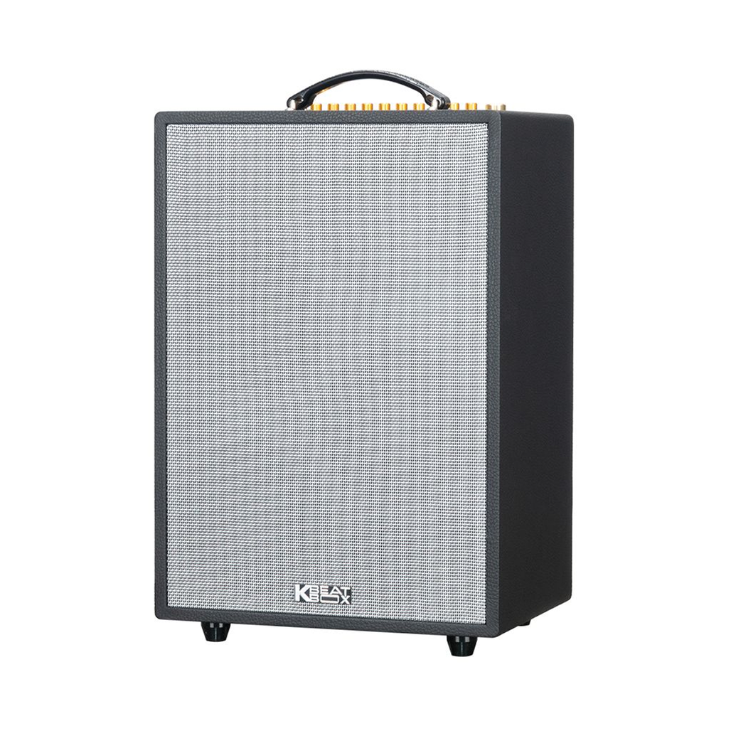 Loa Karaoke Acnos Epop 100