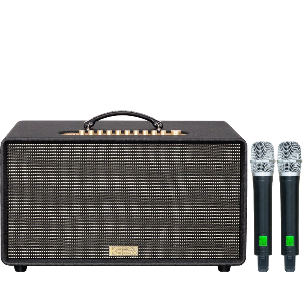 Loa Karaoke Xách Tay Acnos Flac 36 Ver2