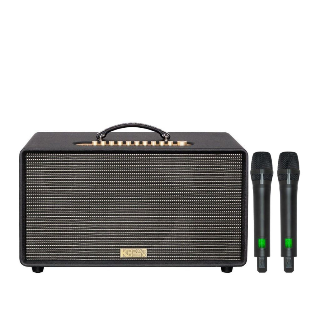 Loa Karaoke Acnos Flac 36S