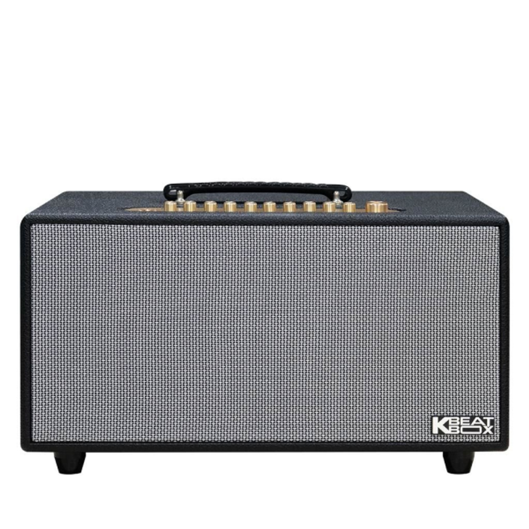 Loa Karaoke xách tay HiNet 450