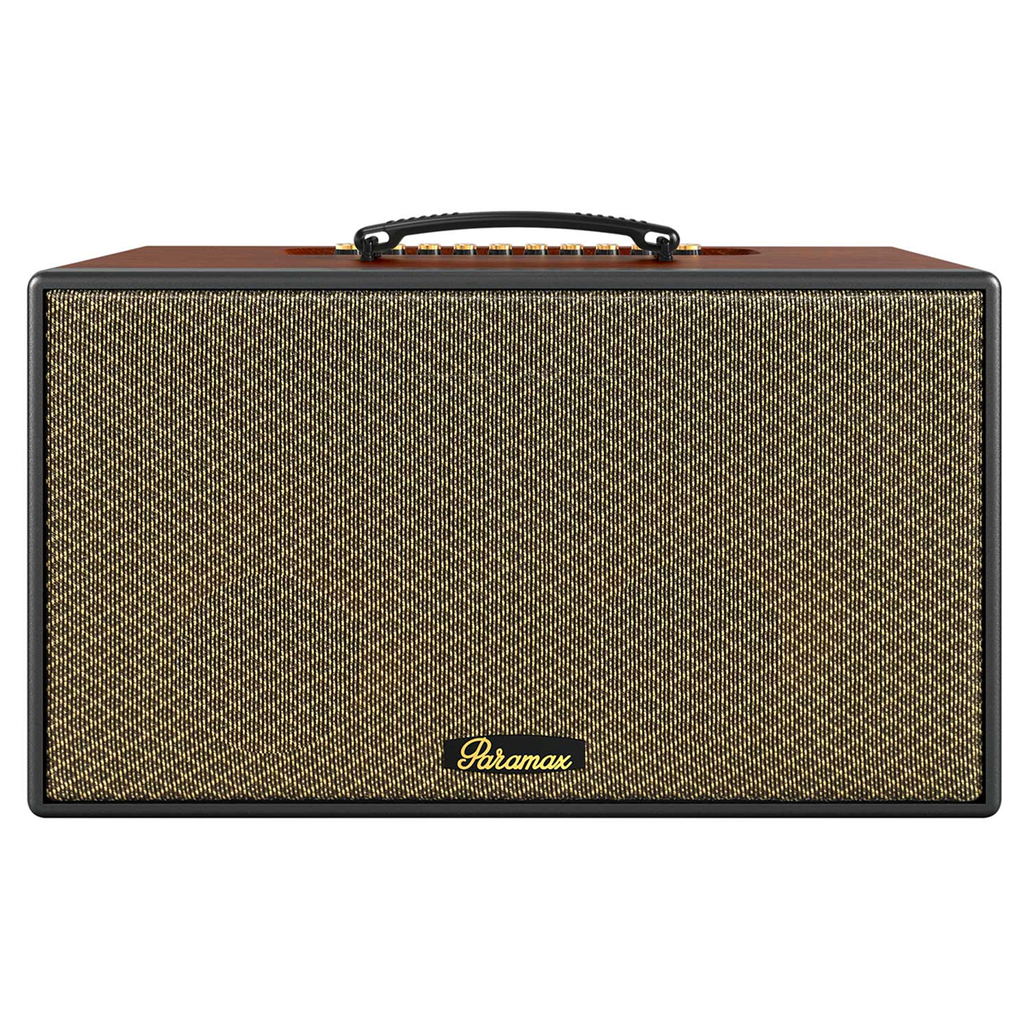 Loa karaoke xách tay PARAMAX Aura