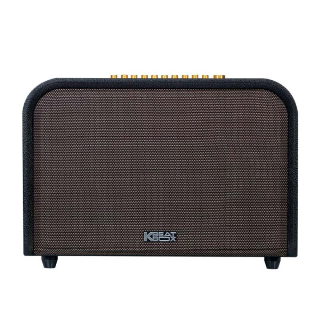 Loa karaoke xách tay ACNOS Acoustic 3 - Cũ