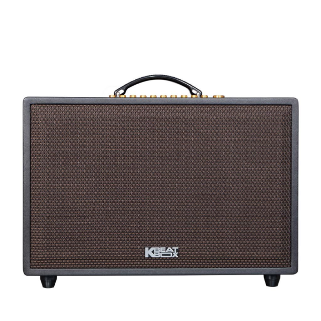 Loa karaoke xách tay ACNOS CS3600Pro