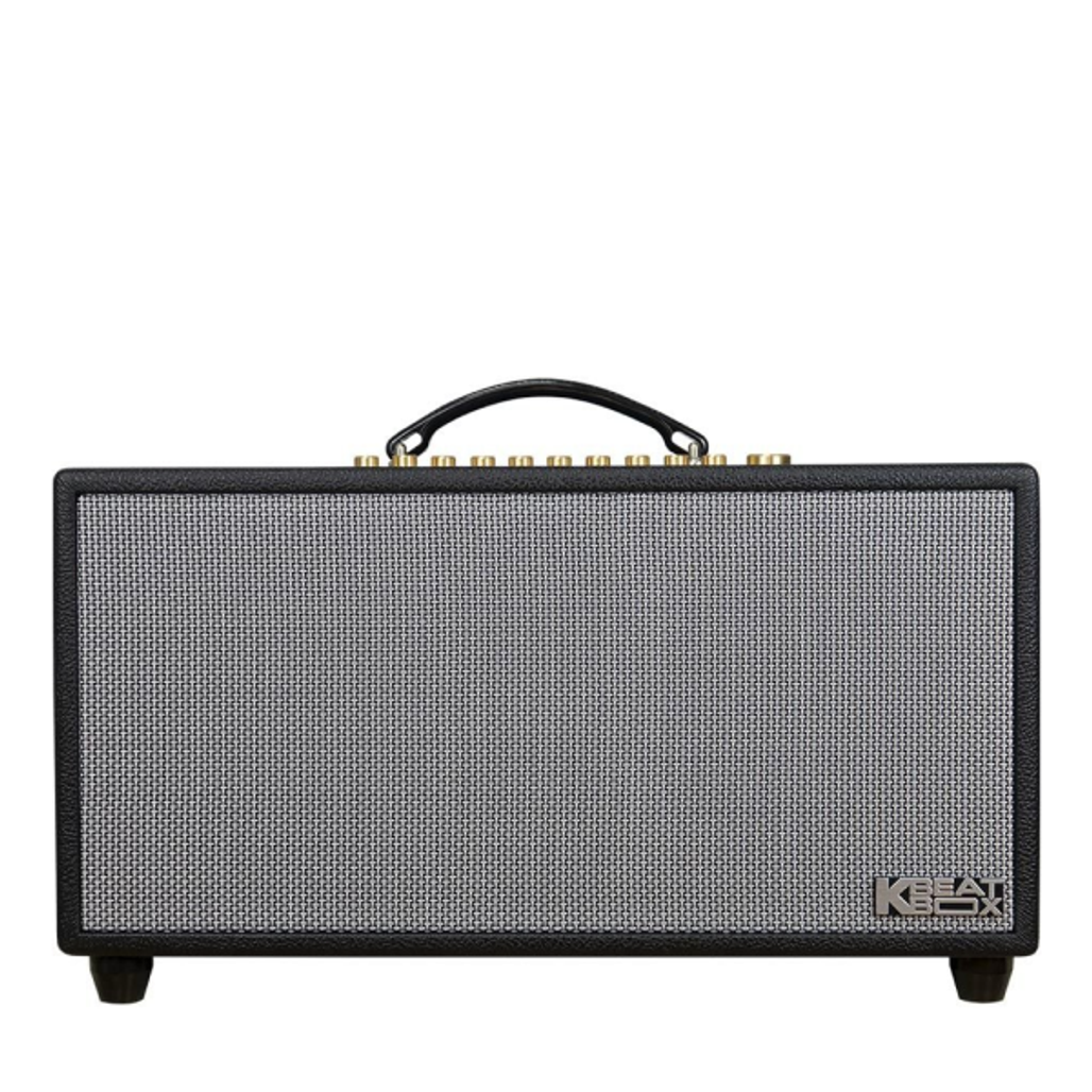 Loa karaoke xách tay ACNOS Hi450