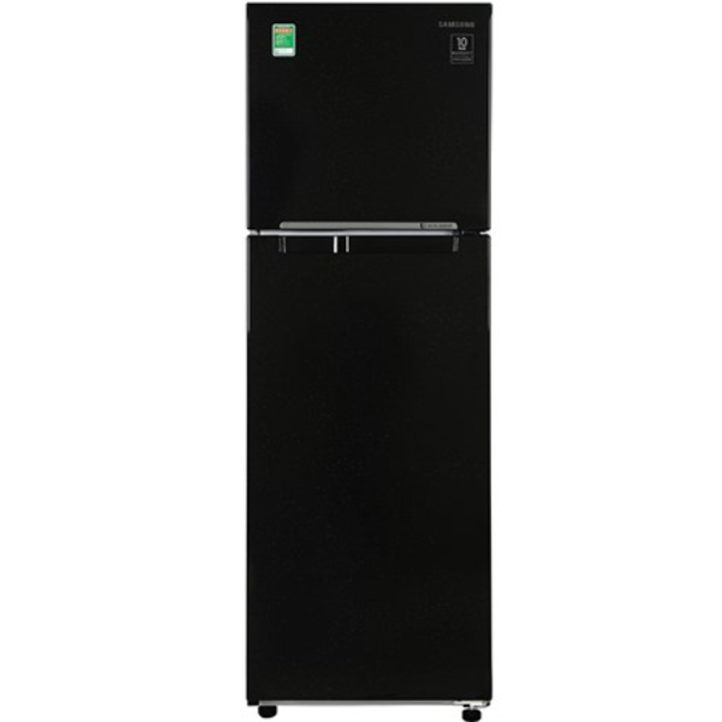 Tủ Lạnh Samsung 256L 2020 Rt25M4032Bu/Sv