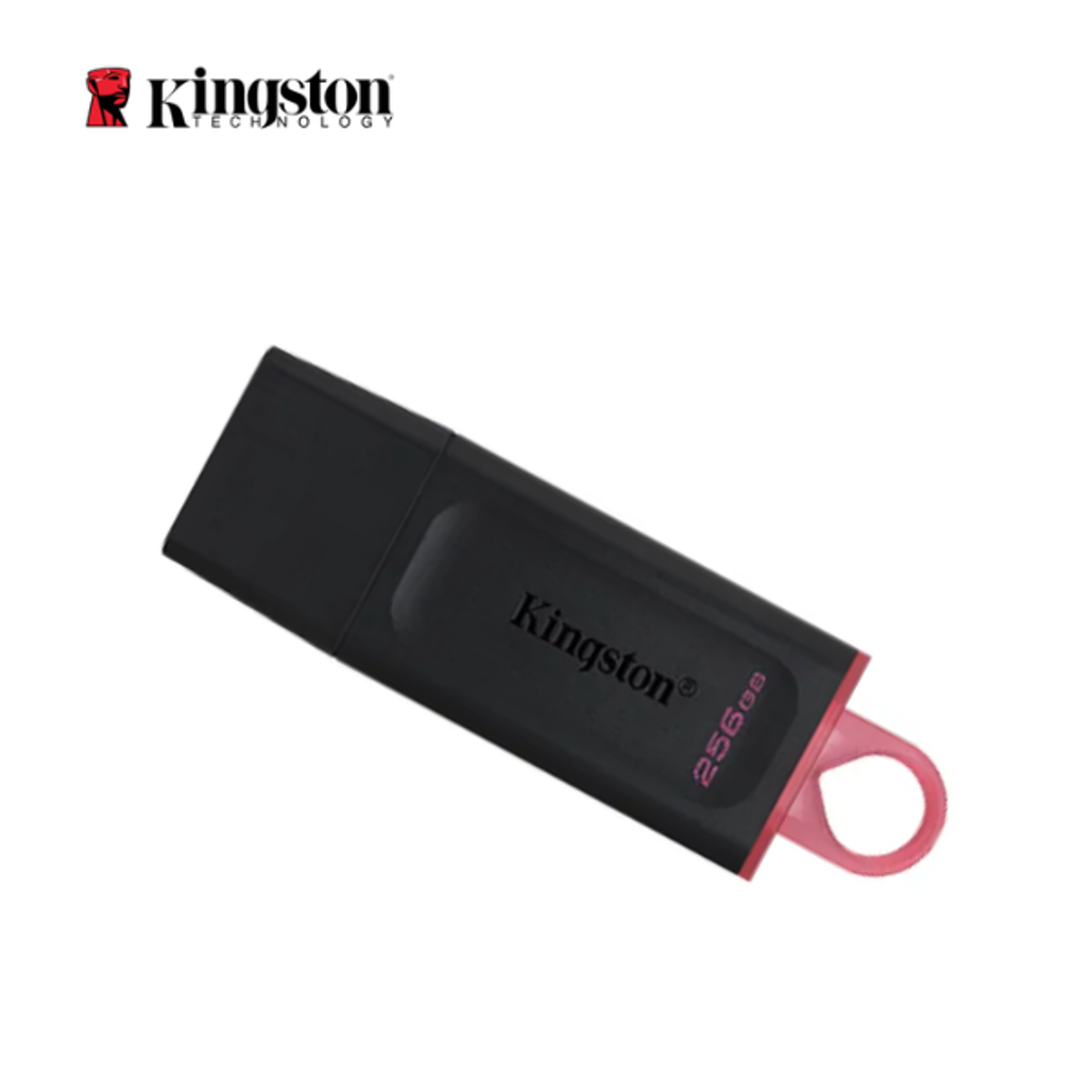 Usb 3.2 Kingston Datatraveler Exodia Dtx 256Gb